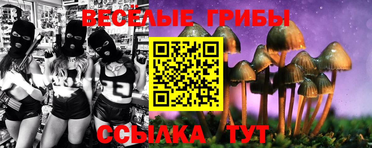 Галлюциногенные грибы мицелий  Вход с VPN  магазин    Ковров 